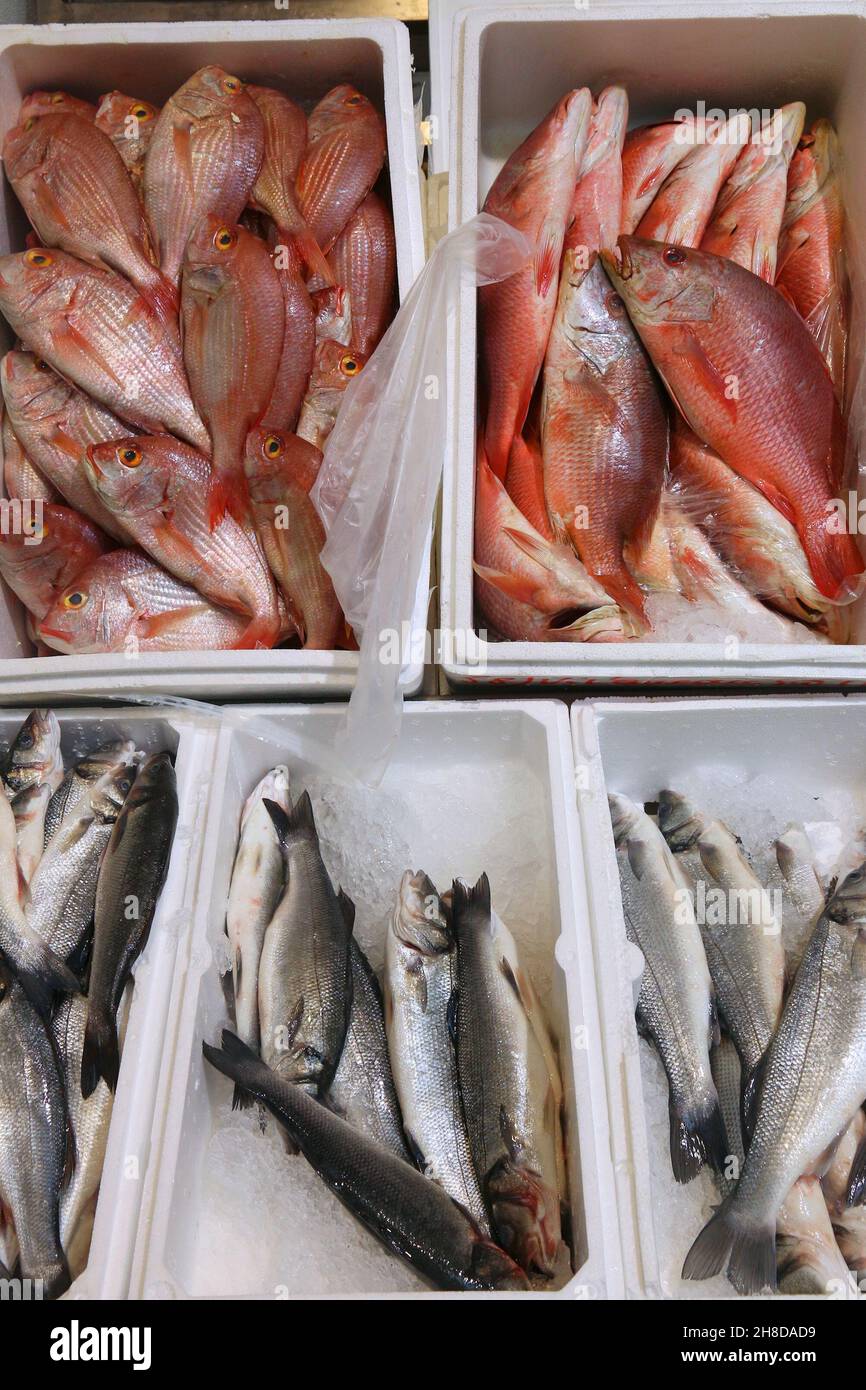 Billingsgate Fish Market in London, Großbritannien. Red Snapper und europäischer Bass (Labrax). Stockfoto