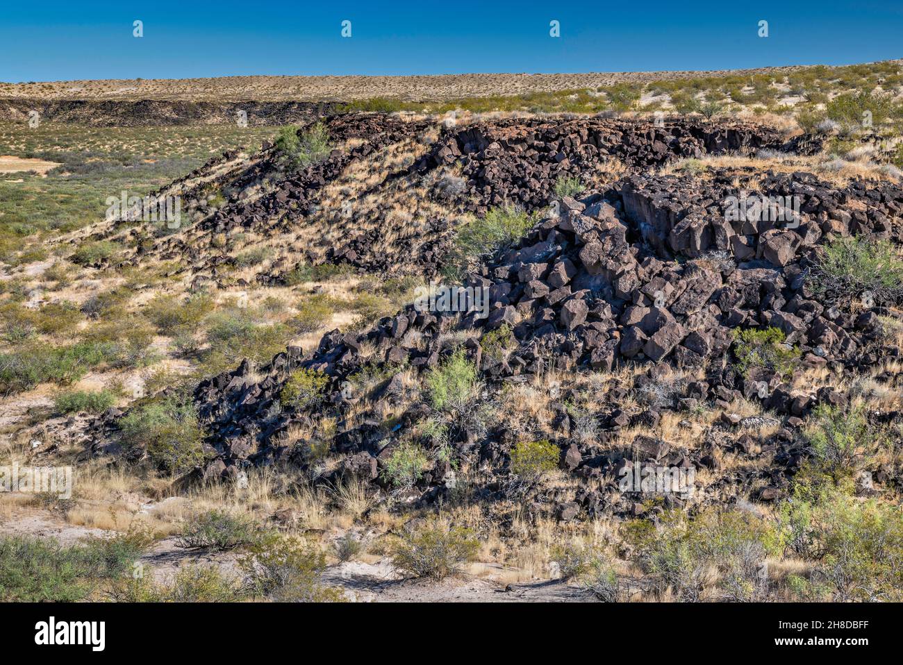 Vulkanisches Gestein bei Hunts Hole, Maar-Krater, Gebiet der East Potrillo Mountains, Organ Mountains Desert Peaks National Monument, New Mexico, USA Stockfoto