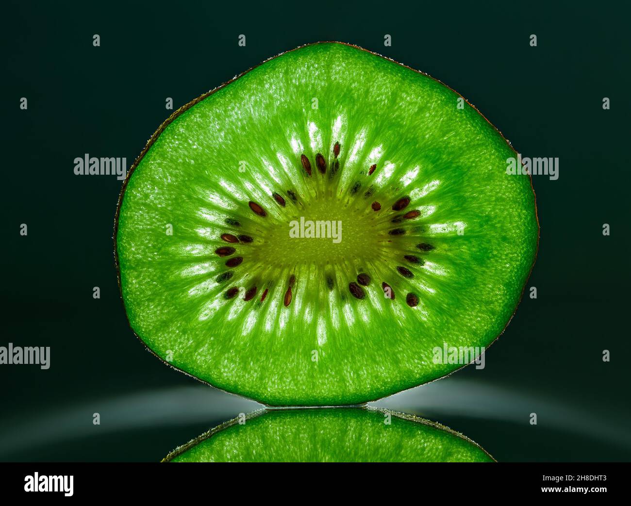 Nahaufnahme eines Kiwi-Fruchtstückes auf dunklem Hintergrund. Horizontal. Platz für Text Stockfoto