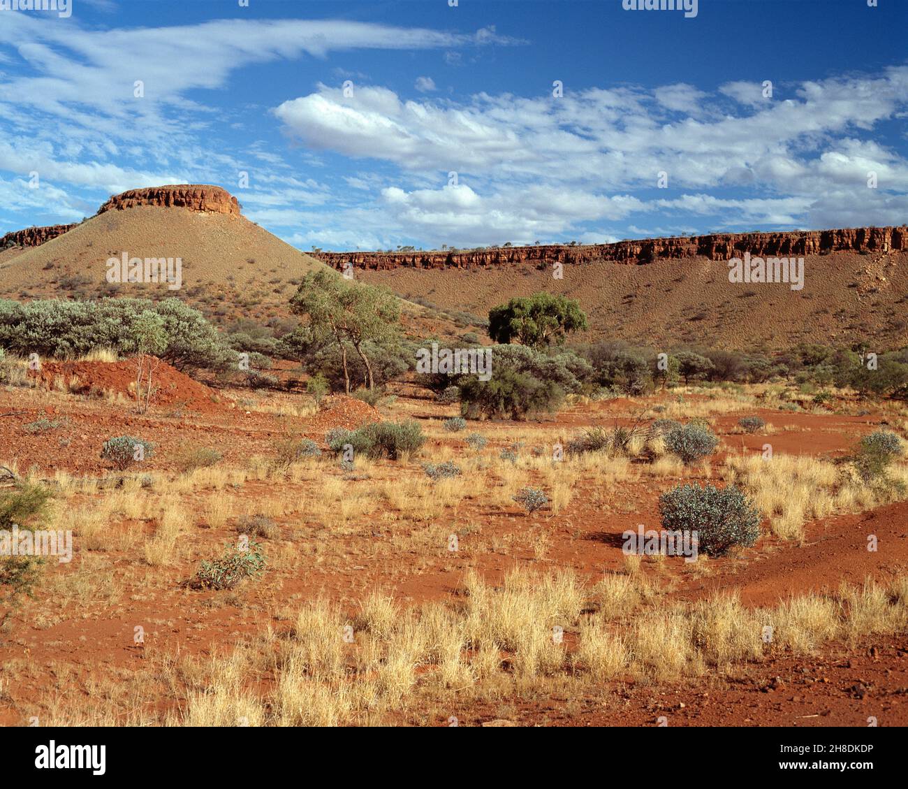 Australien. Northern Territory. Landschaft in der Nähe von Barrow Creek. Stockfoto