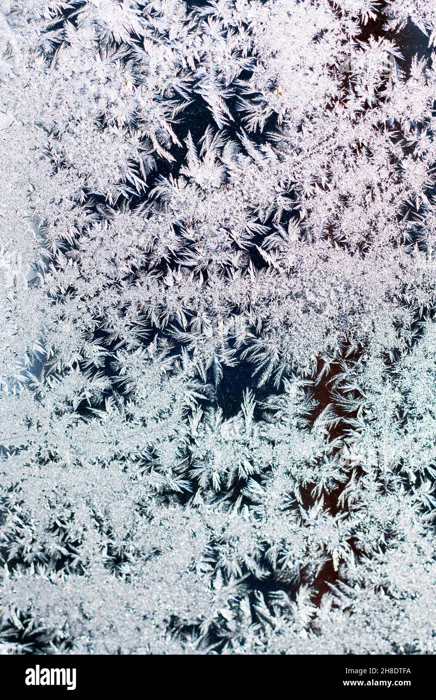 Texturmuster von Schneeflocken aus Schneekristallen auf Glas. Selektiver Fokus. Winter Texturen, Hintergründe Muster. Vertikale Ausrichtung des Rahmens. Stockfoto