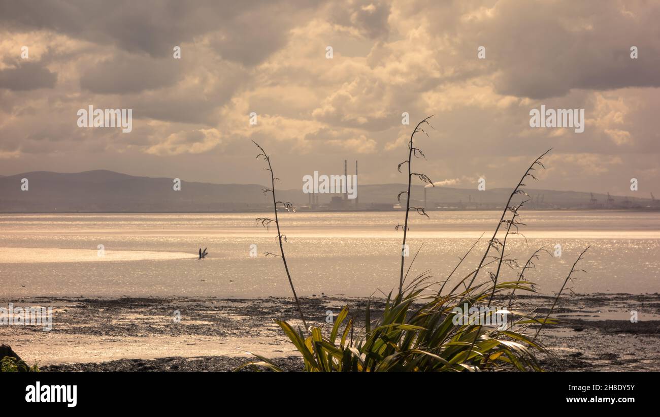 Blick auf die Bucht von Dublin an einem Sommerabend von Sutton, County Dublin, Irland. Stockfoto