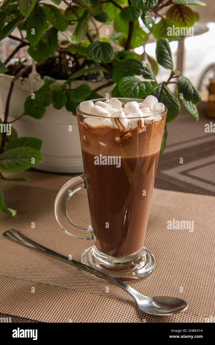 Kakao mit Sumpflaibe in einem hohen Glas Stockfoto