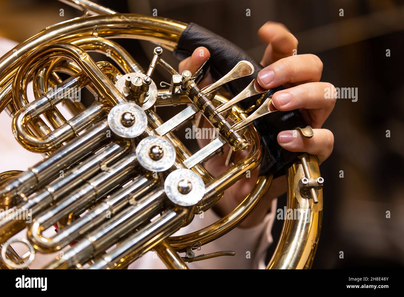 Philharmoniker oder Musiker, die beim Konzert vor dem französischen Horn spielen Stockfoto