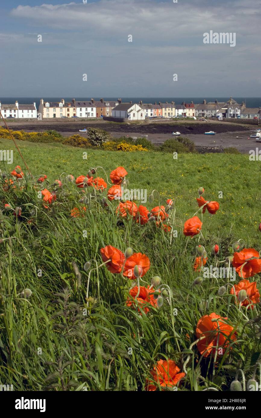 Isle of Whithorn Bay & St Ninians, Newton Stewart, Dumfries & Galloway, Schottland Stockfoto