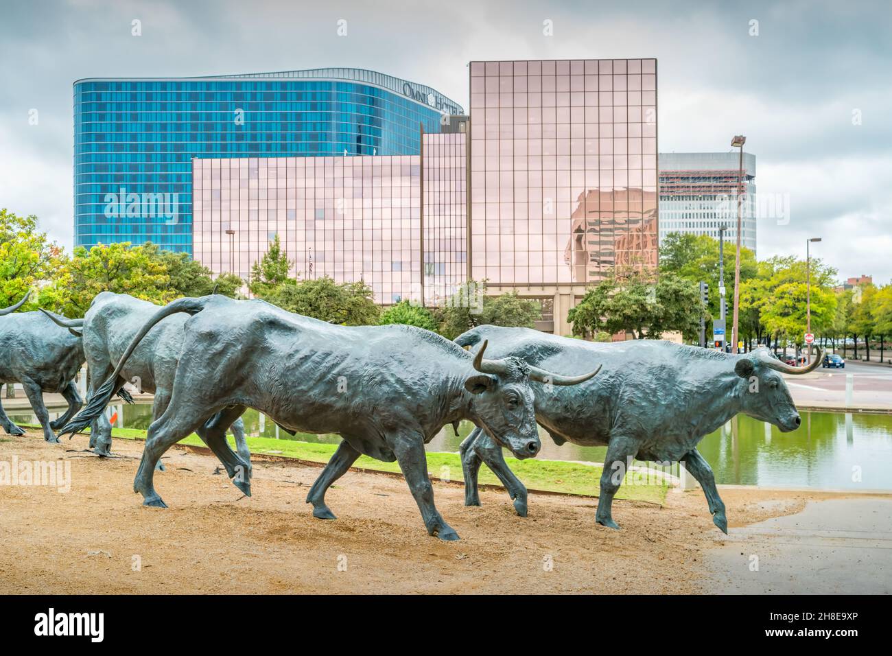 Cattle Drive Skulptur des Künstlers Robert Summers in Pioneer Plaza im Zentrum von Dallas, Texas, USA. Stockfoto