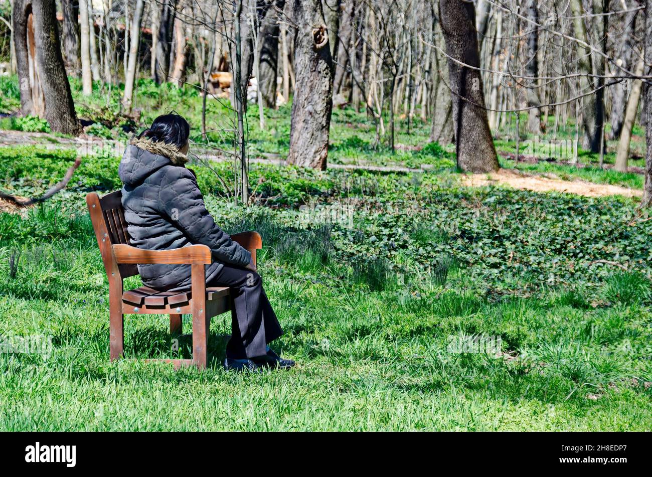 Holzbank mit einer einsamen Frau, die hoffentlich auf die wiederbelebende Natur im Frühjahr starrt, Sofia, Bulgarien Stockfoto