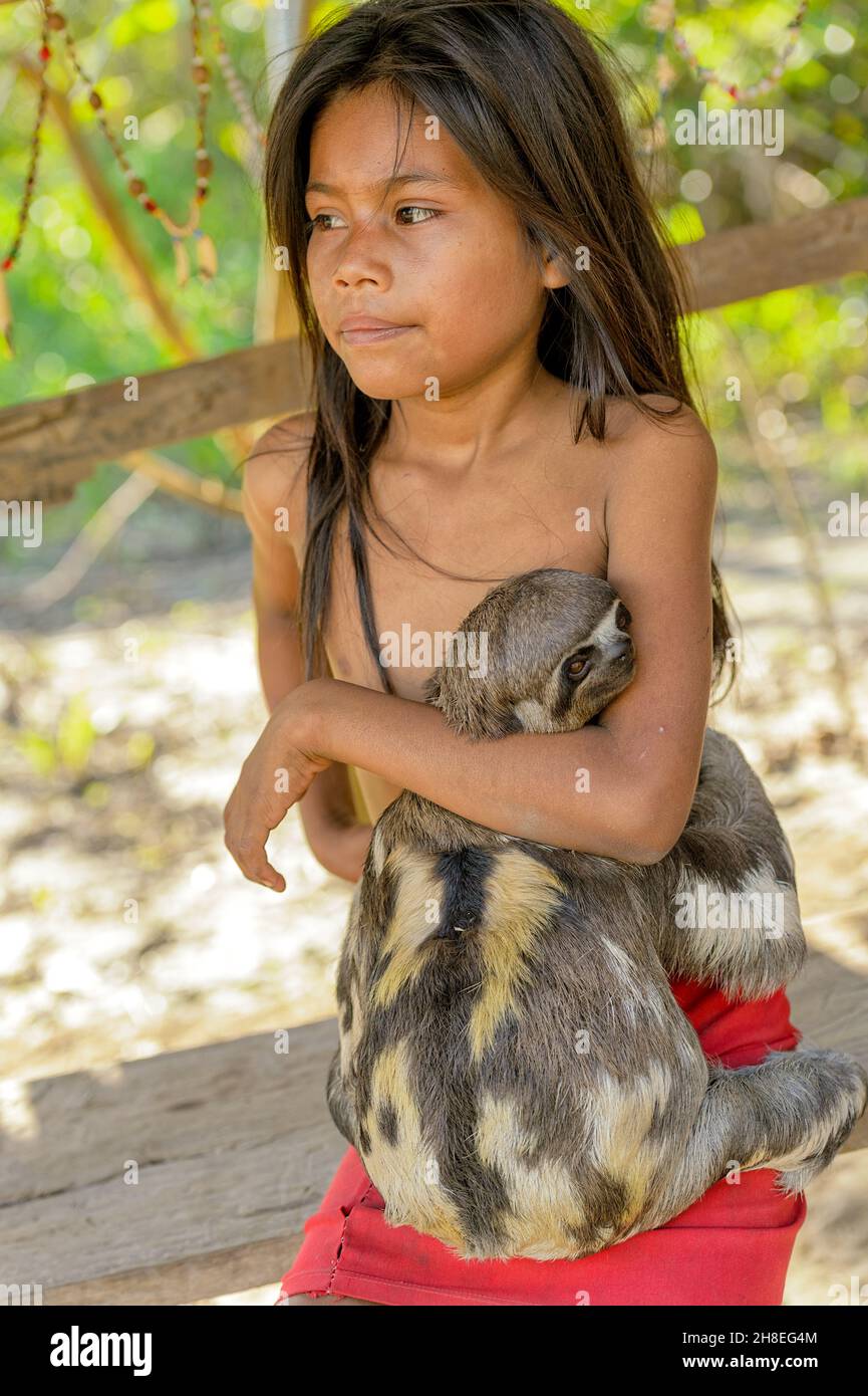 Junge Yagua indisches Mädchen mit ihrem Haustier Sloth Stockfoto