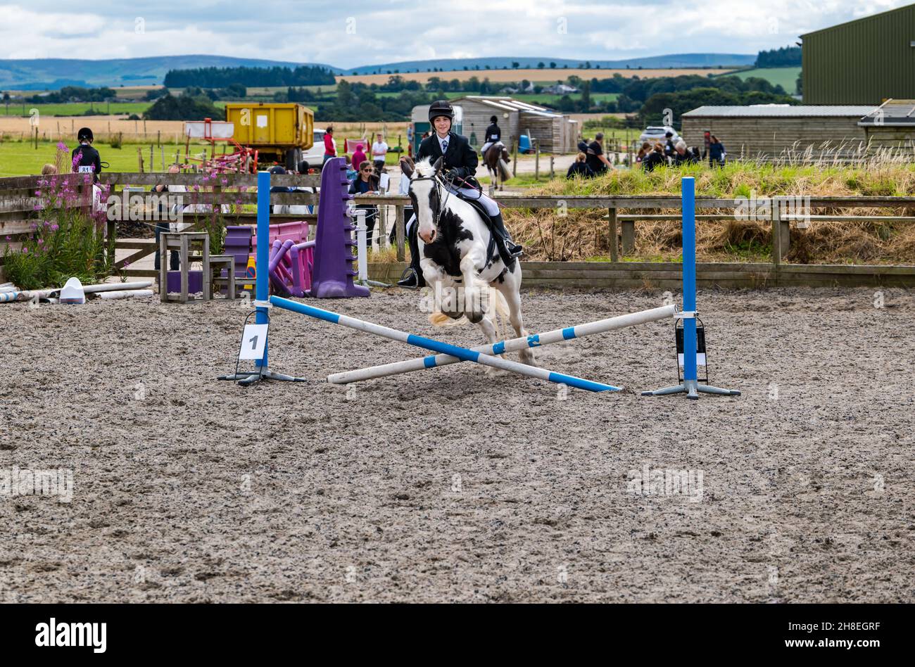 Mädchen reiten Pferd springen über Pferdesprünge in der Arena bei Summer Horse Event, East Lothian, Schottland, Großbritannien Stockfoto