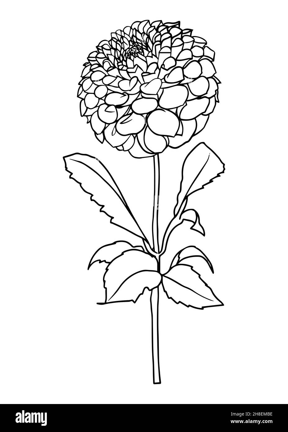 Konturzeichnung einer Dahlia-Blume. Vektor-isoliertes Clipart. Minimales monochromes, handgezeichnetes botanisches Design. Stock Vektor