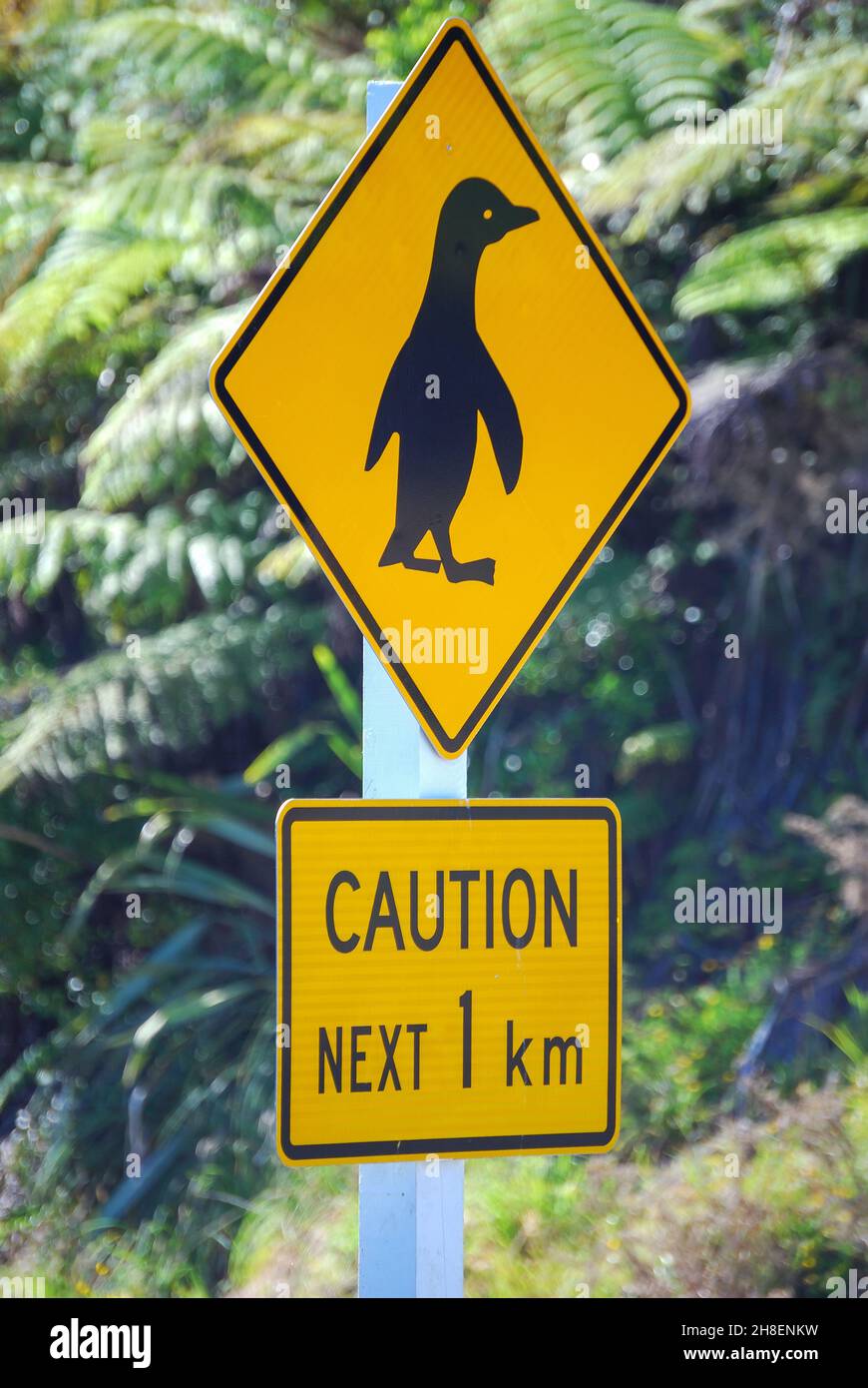 Pinguin-Straßenschild, Paparoa National Park, West Coast, Südinsel, Neuseeland Stockfoto