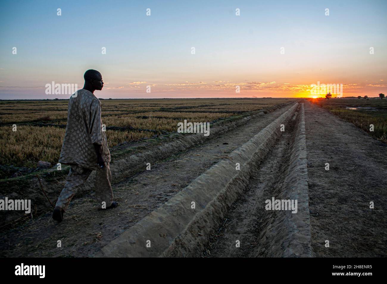 Ein Mann läuft neben einem Bewässerungssystem, das zur Bewässerung von Reisfeldern außerhalb der Stadt Kouna in Malis Mopti-Region, Mali, Westafrika, gebaut wurde. Stockfoto
