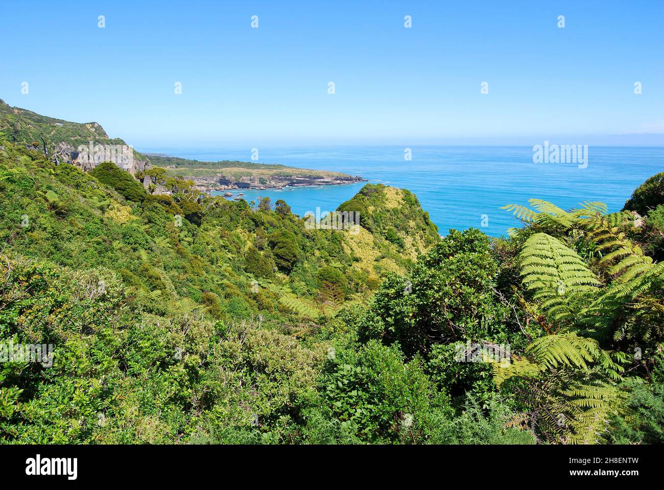 Küsten-Ansicht, Paparoa National Park, West Coast, Südinsel, Neuseeland Stockfoto