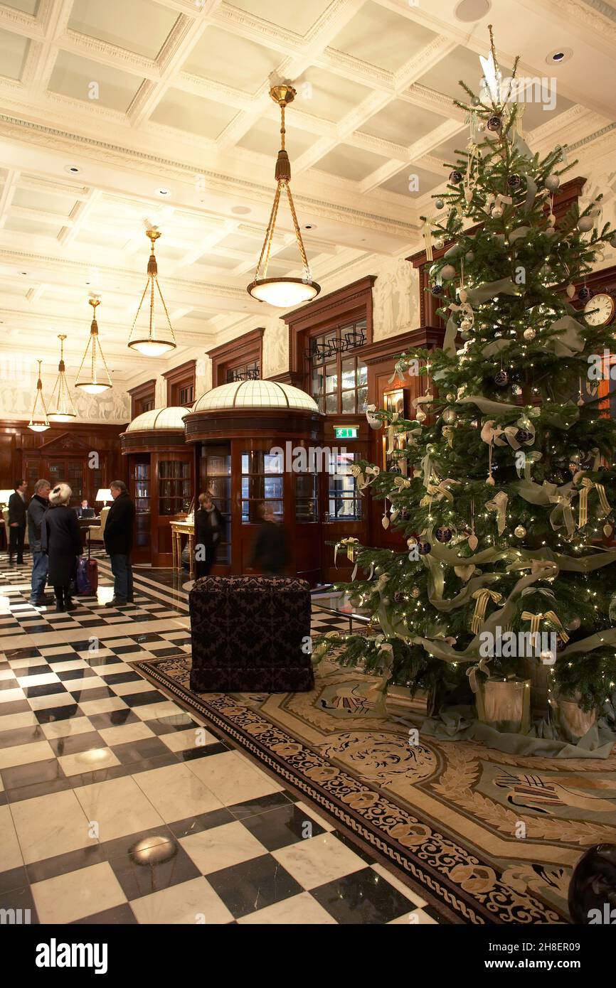 Weihnachtsbaum im Savoy Hotel in London , Großbritannien Stockfoto