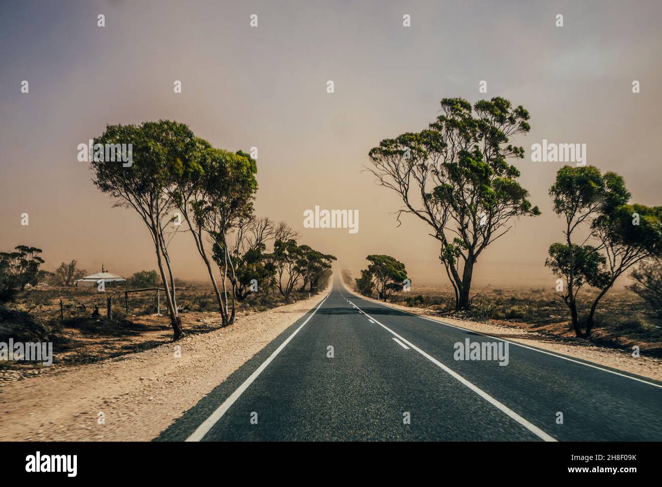 Sonnige, abgelegene, von Bäumen gesäumte Straße im australischen Busch Stockfoto