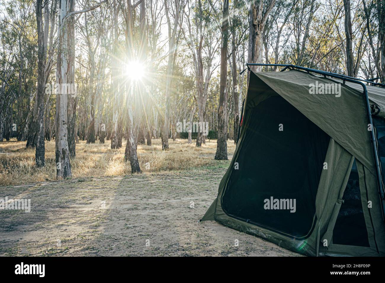 Zelt auf sonnigem Campingplatz, australischer Busch Stockfoto