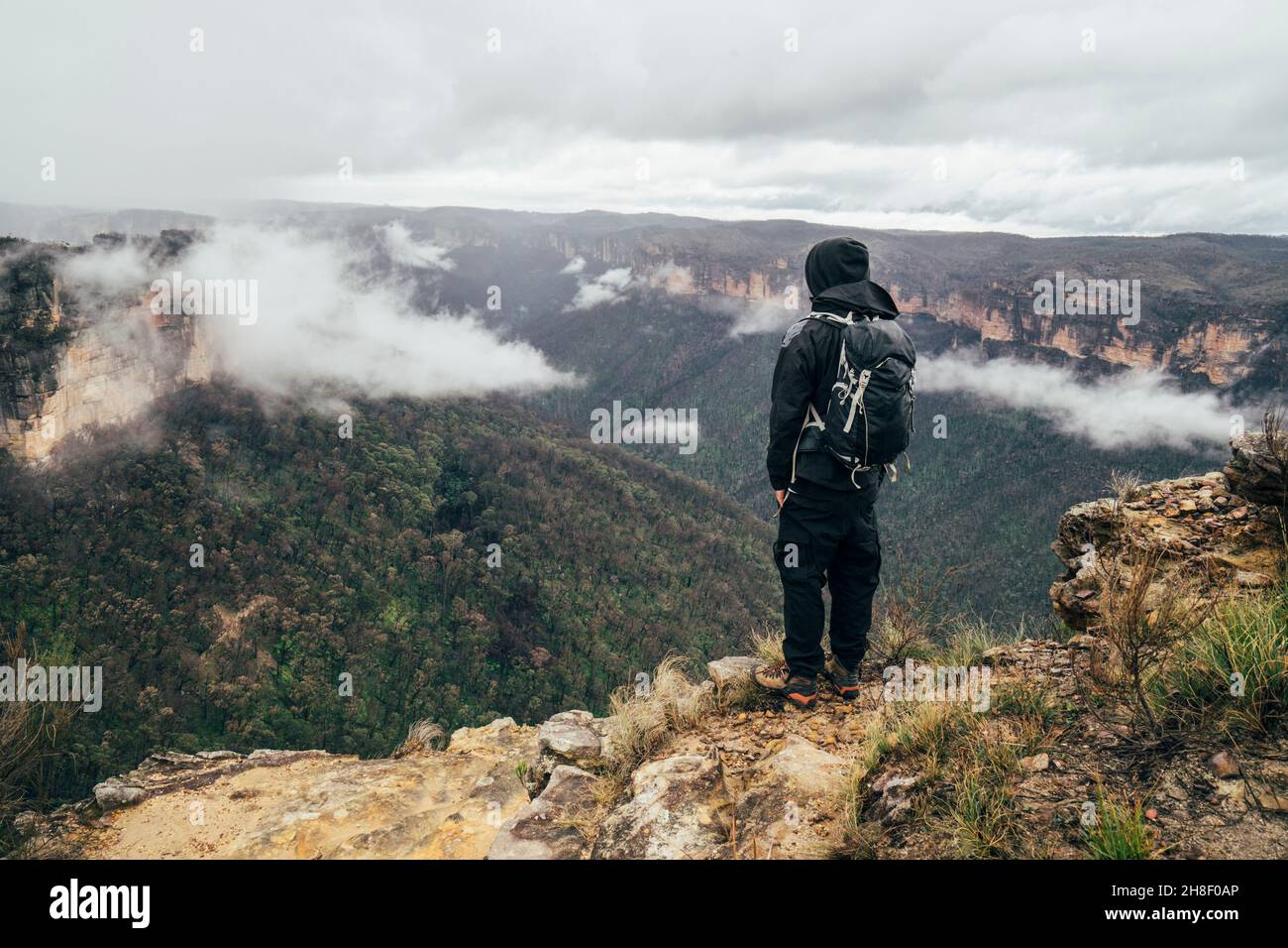 Männlicher Wanderer auf einem abgelegenen Berggipfel, Australien Stockfoto