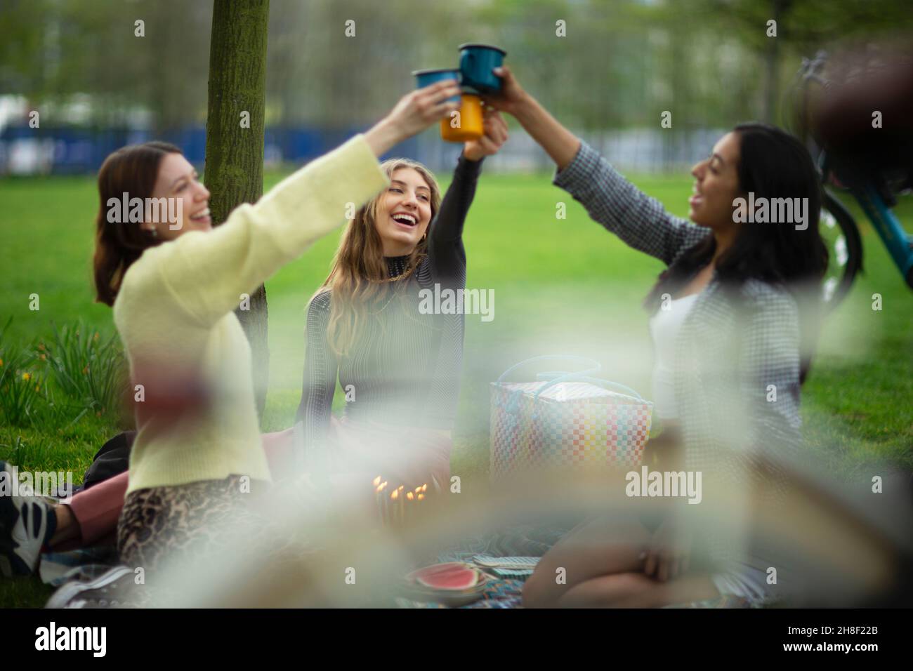 Fröhliche junge Freundinnen, die beim Park-Picknick Gläser toasten Stockfoto