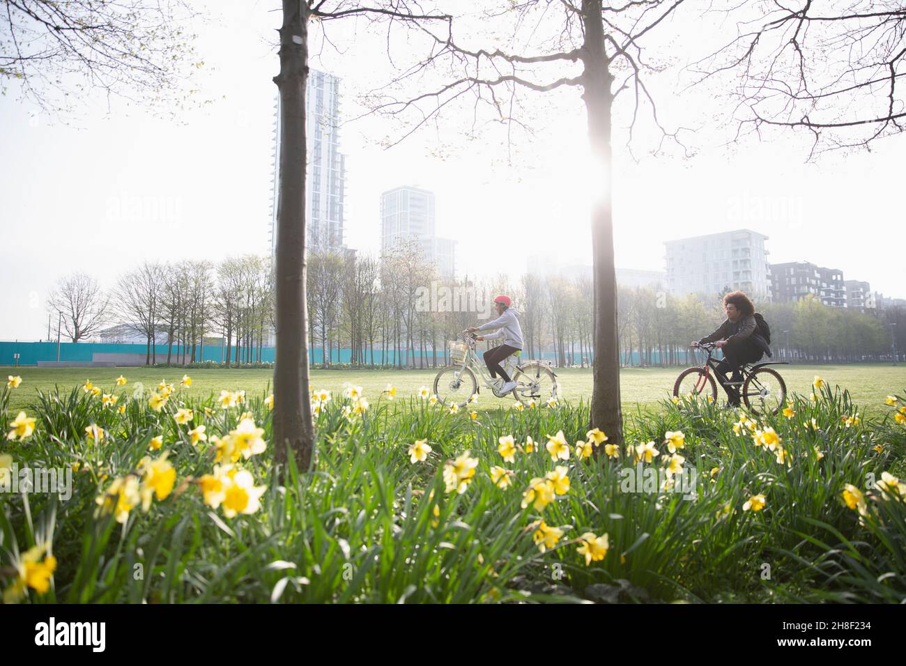 Junge Erwachsene Freunde, die im sonnigen städtischen Quellpark Fahrrad fahren Stockfoto