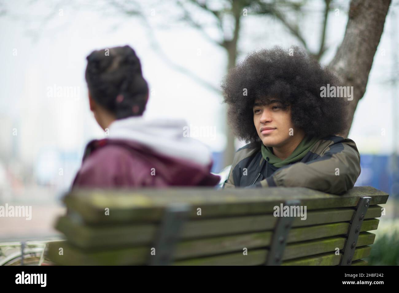 Junger Mann mit Afro im Gespräch mit der Schwester auf der Parkbank Stockfoto