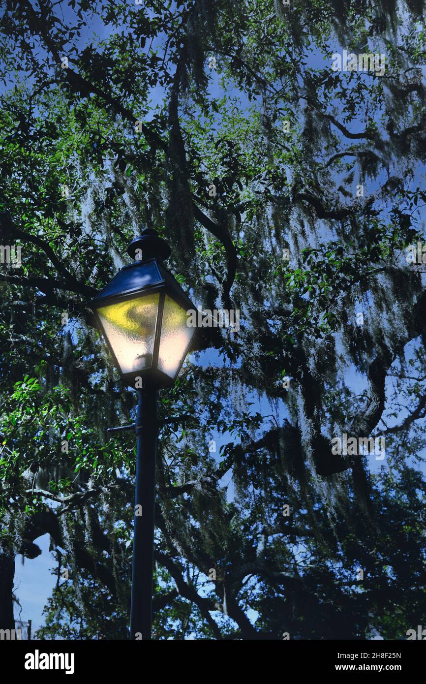 Altmodische Straßenlampe im Park Stockfoto