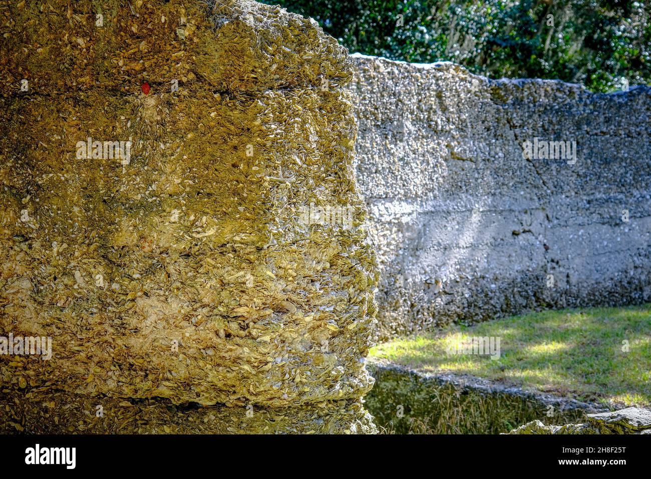 Läuft von Old Tabby House on Plantation Stockfoto