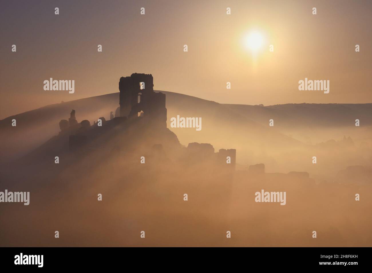 Die dramatischen Ruinen von Corfe Castle aus dem 11th. Jahrhundert, die bei Sonnenaufgang in Nebel gehüllt sind, Isle of Purbeck, Dorset, England, Großbritannien Stockfoto