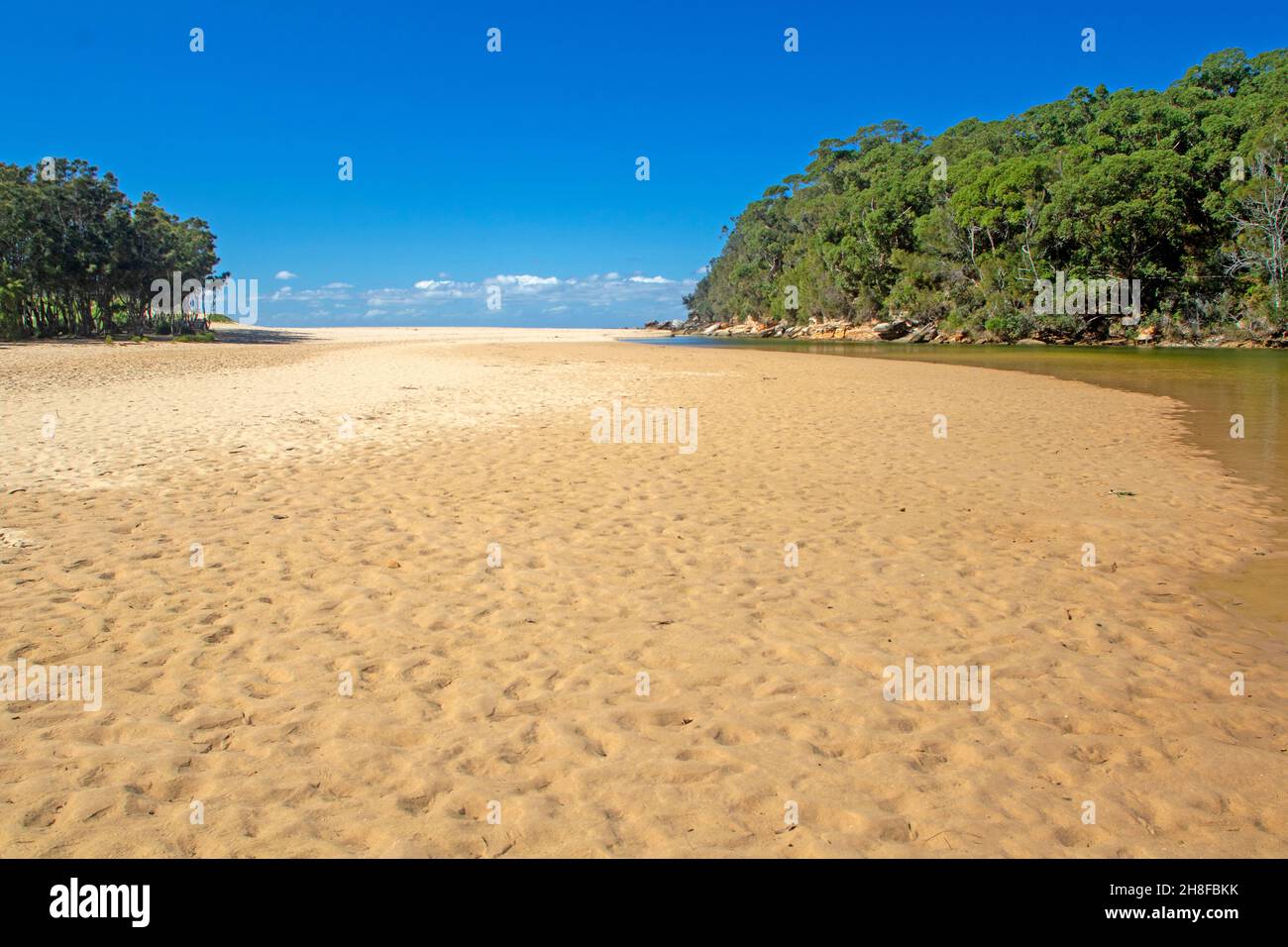 Wattamolla Beach, Royal National Park Stockfoto