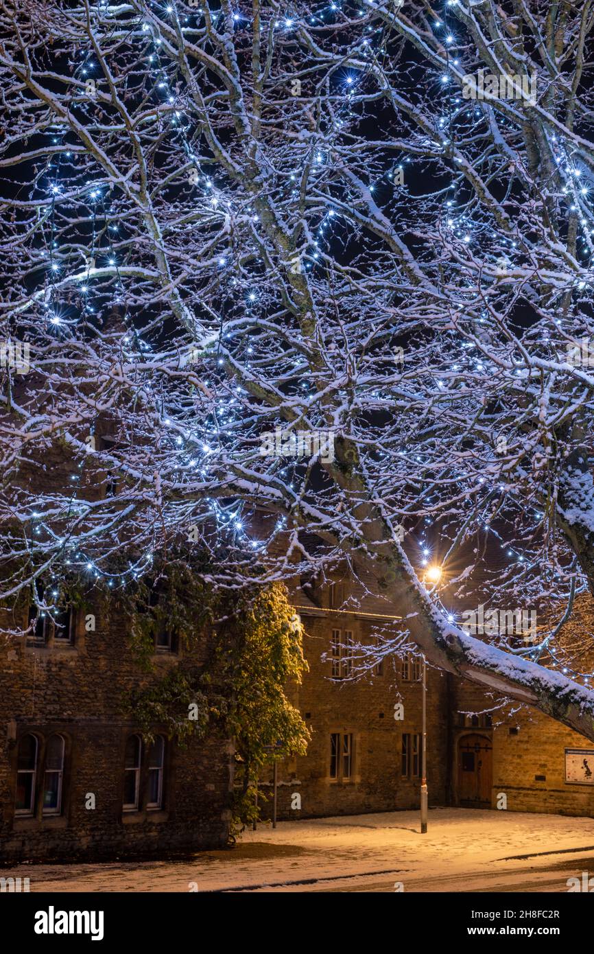 Blaue Weihnachtslichter in den Bäumen entlang der brackley High Street im Abendschnee. Brackley, Northamptonshire, England Stockfoto