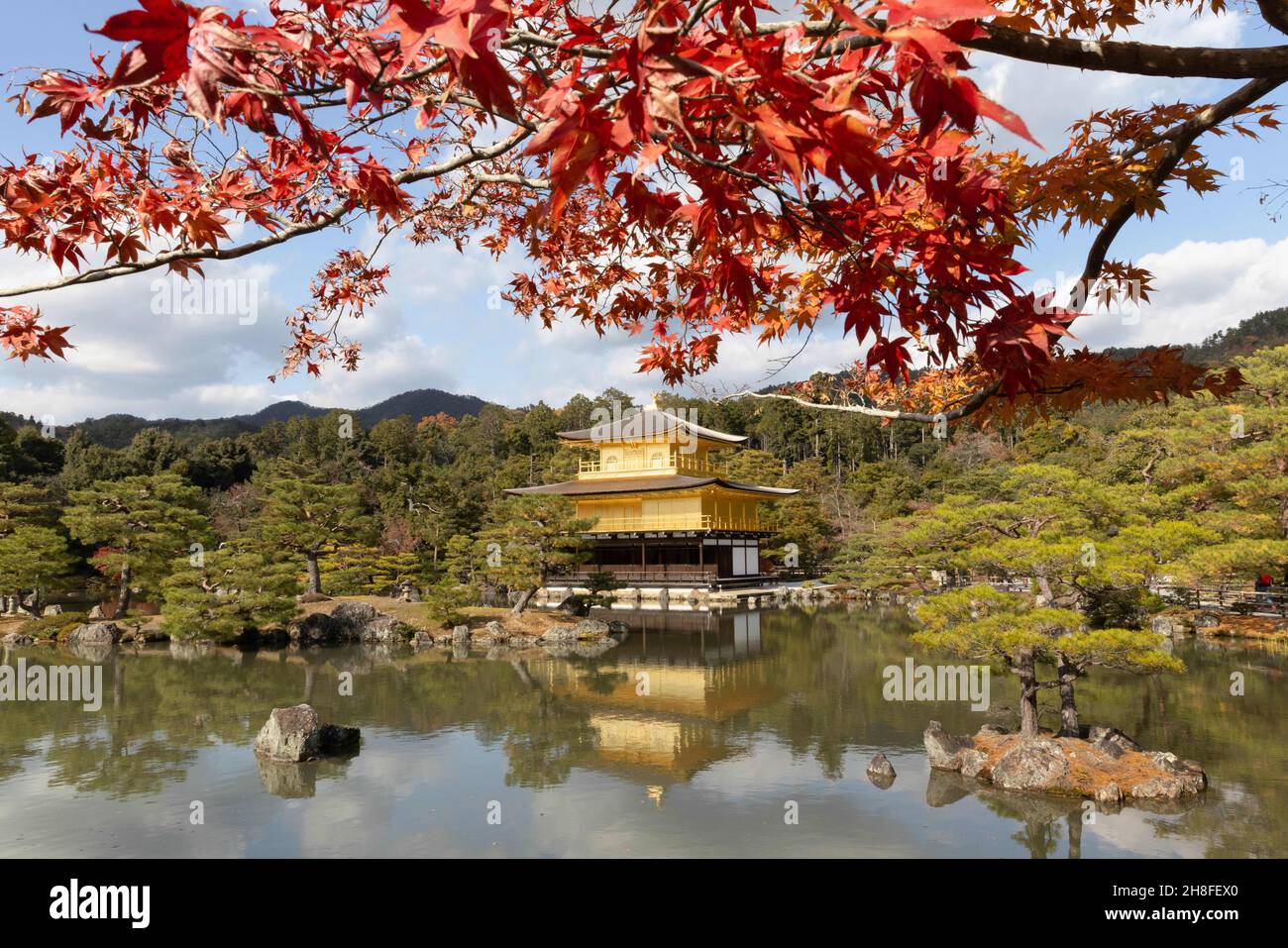 Kyoto, Japan. 26th. November 2021. Eine Weitwinkelaufnahme des Goldenen Pavillons (Kinkaku-ji-Tempel).Rokuon-ji, allgemein bekannt als ''Kinkaku-ji'', ist ein Zen-Tempel der Shokoku-ji-Schule der Rinzai-buddhistischen Konfession. Der Goldene Pavillon und der Tempelgarten sind seit 1994 als Weltkulturerbe registriert. (Bild: © Stanislav Kogiku/SOPA Images via ZUMA Press Wire) Stockfoto