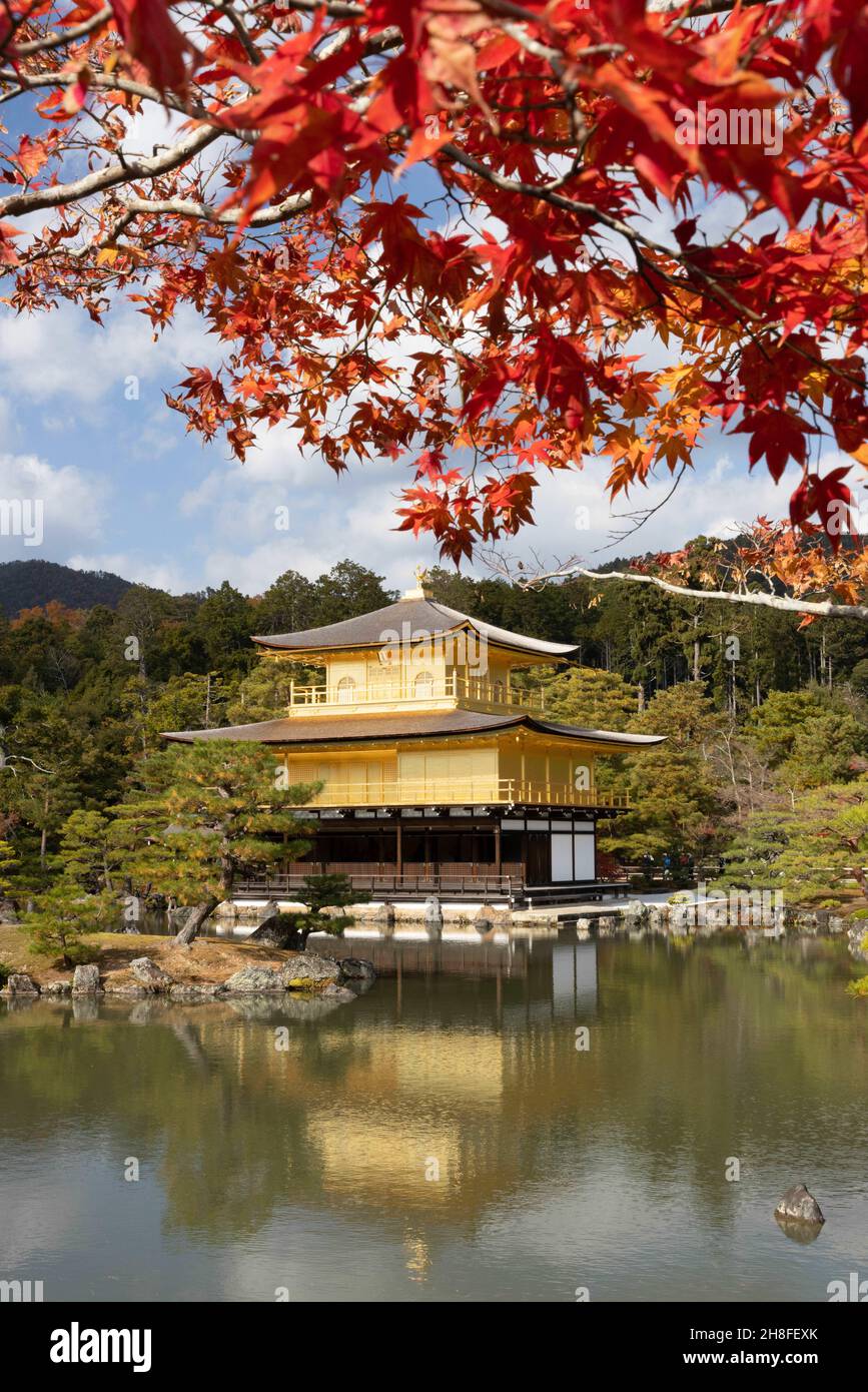 Kyoto, Japan. 26th. November 2021. Ein Blick auf den Goldenen Pavillon (Kinkaku-ji Tempel).Rokuon-ji, allgemein bekannt als ''Kinkaku-ji'', ist ein Zen-Tempel der Shokoku-ji Schule der Rinzai-buddhistischen Konfession. Der Goldene Pavillon und der Tempelgarten sind seit 1994 als Weltkulturerbe registriert. (Bild: © Stanislav Kogiku/SOPA Images via ZUMA Press Wire) Stockfoto