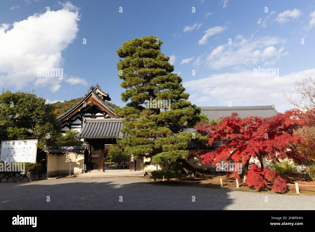 Kyoto, Japan. 26th. November 2021. Eingang des Toji-in Tempels.Toji-in wurde 1341 am südlichen Hang des Berges Kinugasa vom Shogun Ashikaga Takauji gegründet. 15 Shoguns kamen aus dem Ashikaga-Clan und machten den Toji-in-Tempel reich an historischen Artefakten und Kunstwerken. (Foto: Stanislav Kogiku/SOPA Images/Sipa USA) Quelle: SIPA USA/Alamy Live News Stockfoto