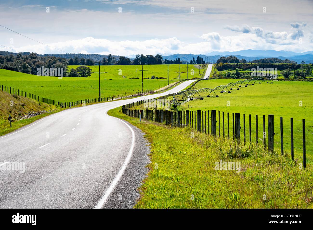 Straße, die durch grüne Felder führt, in der Nähe von Blackball, Westküste, Südinsel, Neuseeland Stockfoto