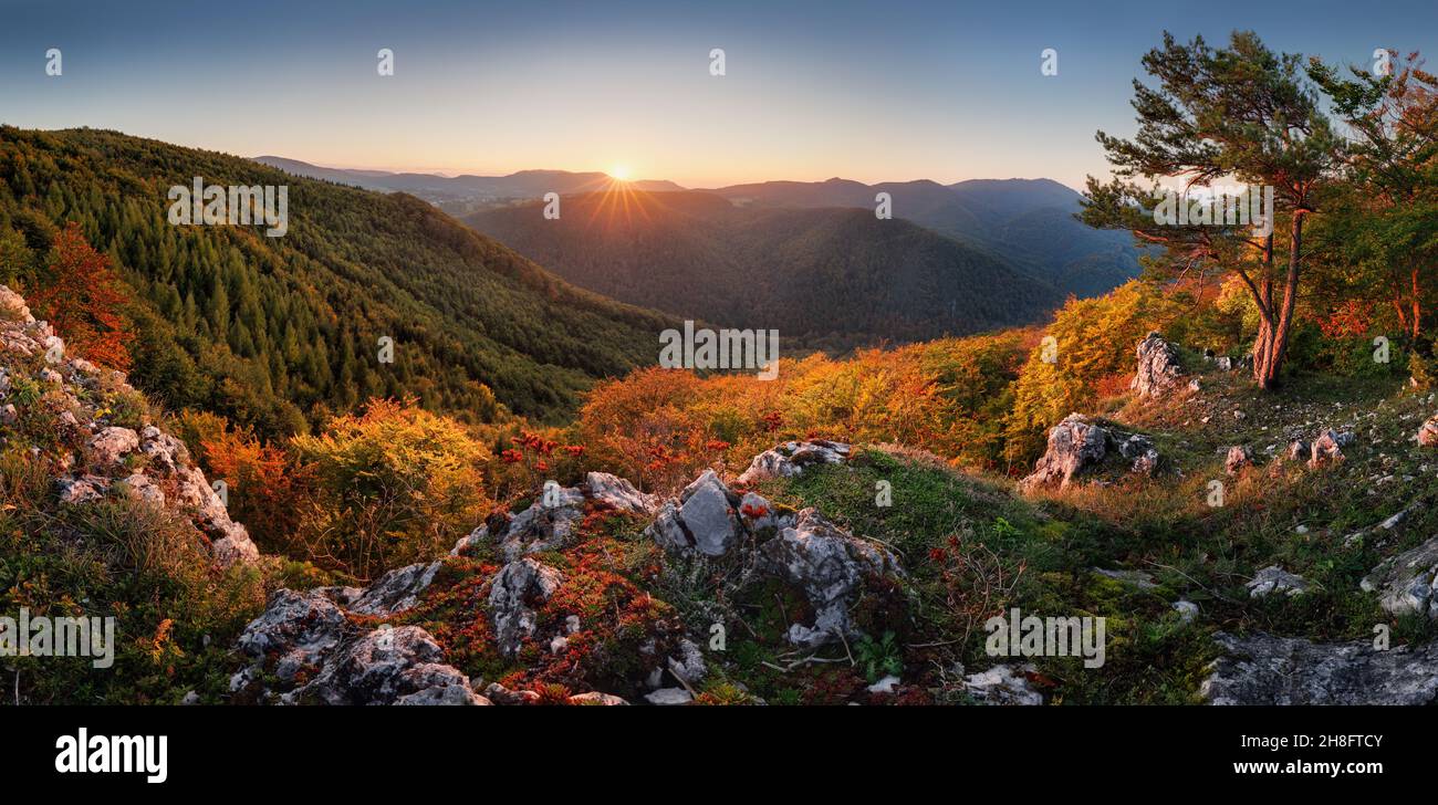 Orangenlärchen auf dem Hügel. Panorama Herbst Ansicht der Slowakei Land. Schönheit der Natur Konzept Hintergrund. Stockfoto