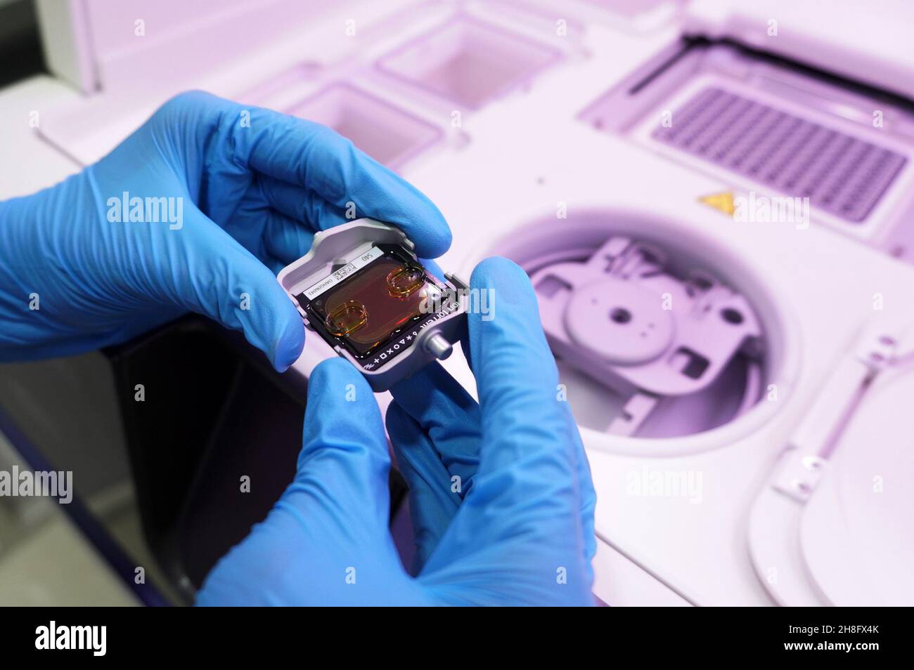 Chennai, Tamil Nadu, Indien. 30th. November 2021. Ein medizinischer Mitarbeiter arbeitet in einem Sequenzierungslabor der Direktion für medizinische und ländliche Gesundheitsdienste in Chennai. Im Labor werden die Proben systematisch auf verschiedene Coronavirus-Mutationen untersucht. Ziel ist es, schnell Mutationen zu identifizieren, die hinsichtlich der Übertragbarkeit, der Schwere der Erkrankung und des Impfstoffs ein besonderes Risiko darstellen. Die WHO (Weltgesundheitsorganisation) klassifizierte den neuen Omicron-Stamm der Variante des Bedenkens (VOC) als „hohes Risiko“ (Bild der Quelle: © Sri Loganathan/ZUMA Press Wire) Stockfoto