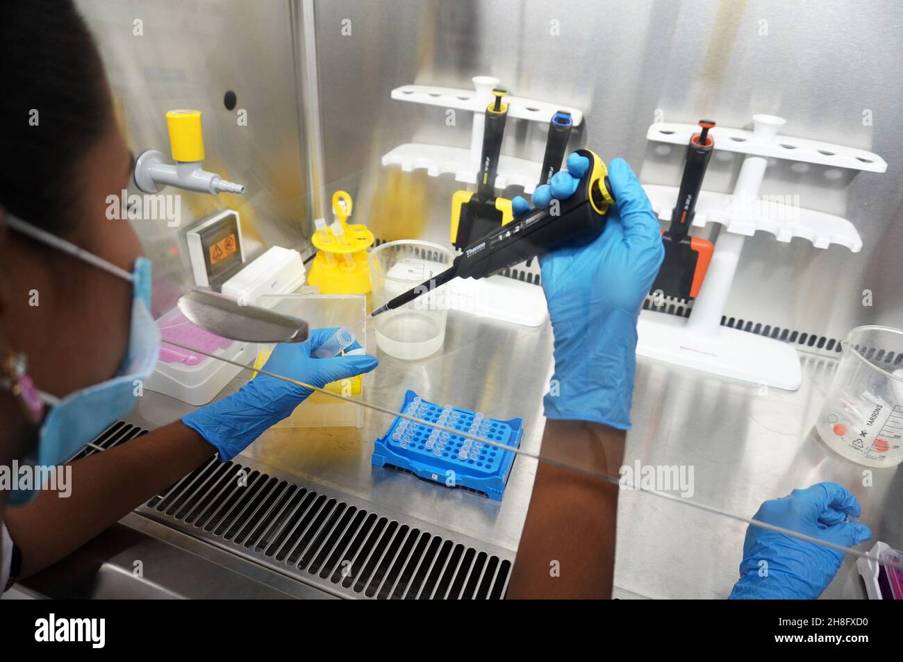 Chennai, Tamil Nadu, Indien. 30th. November 2021. Ein medizinischer Mitarbeiter arbeitet in einem Sequenzierungslabor der Direktion für medizinische und ländliche Gesundheitsdienste in Chennai. Im Labor werden die Proben systematisch auf verschiedene Coronavirus-Mutationen untersucht. Ziel ist es, schnell Mutationen zu identifizieren, die hinsichtlich der Übertragbarkeit, der Schwere der Erkrankung und des Impfstoffs ein besonderes Risiko darstellen. Die WHO (Weltgesundheitsorganisation) klassifizierte den neuen Omicron-Stamm der Variante des Bedenkens (VOC) als „hohes Risiko“ (Bild der Quelle: © Sri Loganathan/ZUMA Press Wire) Stockfoto