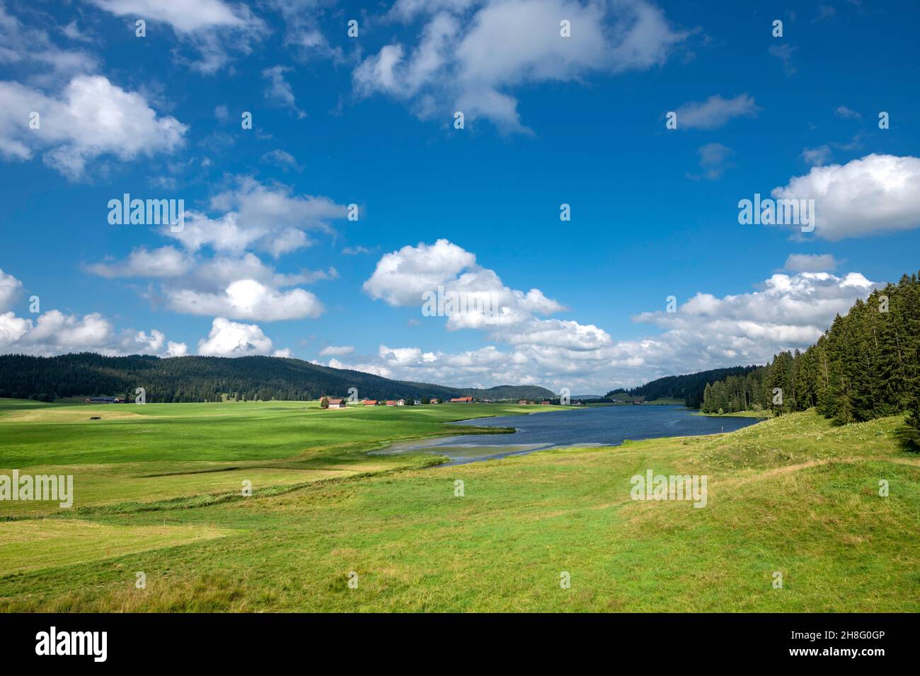 Schweiz, Suisse, Schweiz, Canton de Neuchâtel, Kanton Neuenburg, Cantone di Neuchâtel, Vallée de La Brévine, pré, Wiese, Feld, Prärie, Wiese, Stockfoto