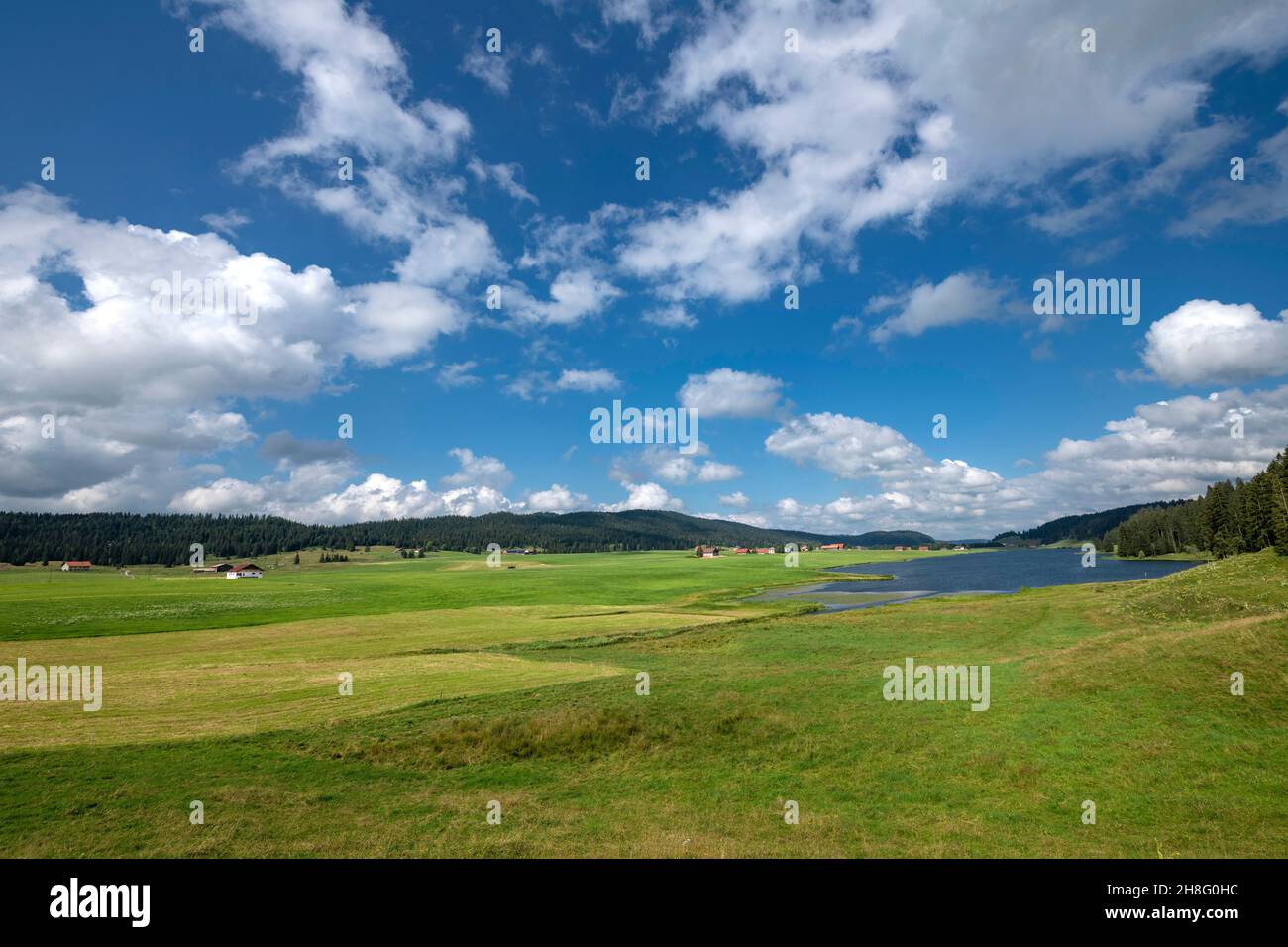 Schweiz, Suisse, Schweiz, Canton de Neuchâtel, Kanton Neuenburg, Cantone di Neuchâtel, Vallée de La Brévine, pré, Wiese, Feld, Prärie, Wiese, Stockfoto