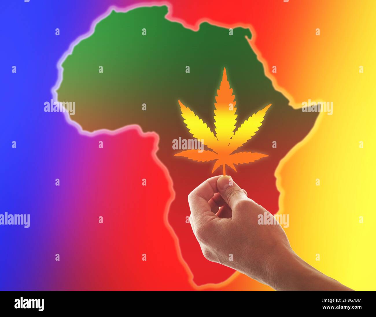 Eine Hand hält ein Cannabisblatt vor dem Hintergrund des afrikanischen Kontinents. Das Konzept der Cannabisbranche. Stockfoto