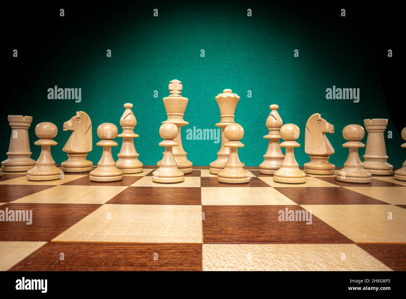 Royal Chess als Spiel für zwei auf grünem Hintergrund. Stockfoto
