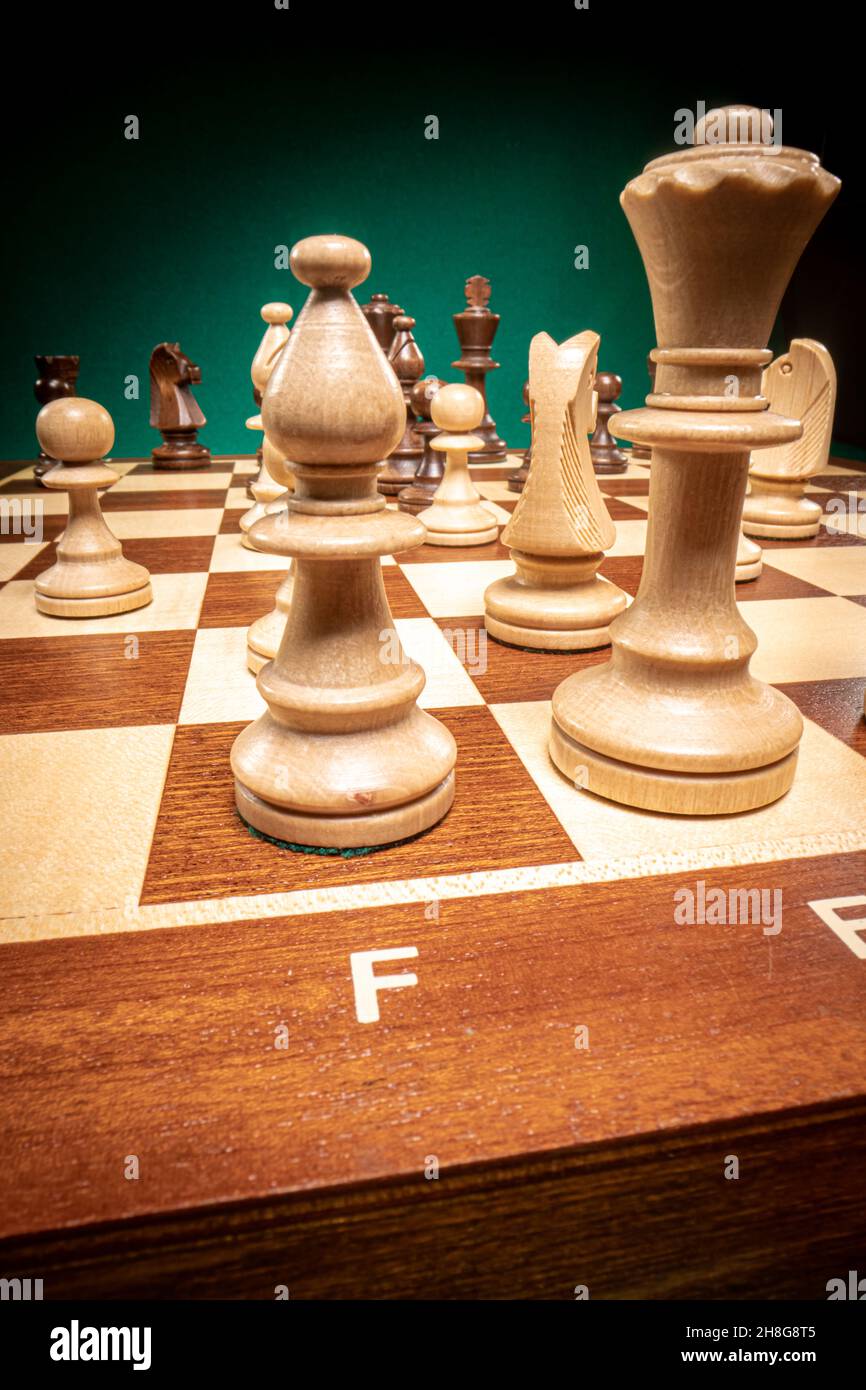 Königliche Schach als intellektuelle Unterhaltung für zwei auf grünem Hintergrund. Stockfoto