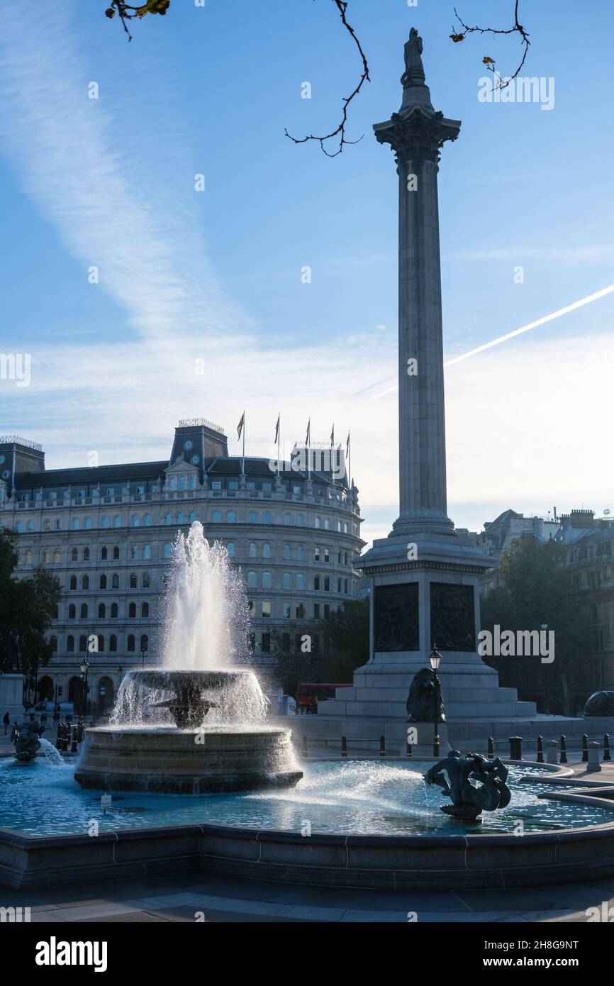 Nelson Säule am Trafalgar Square in London Stockfoto