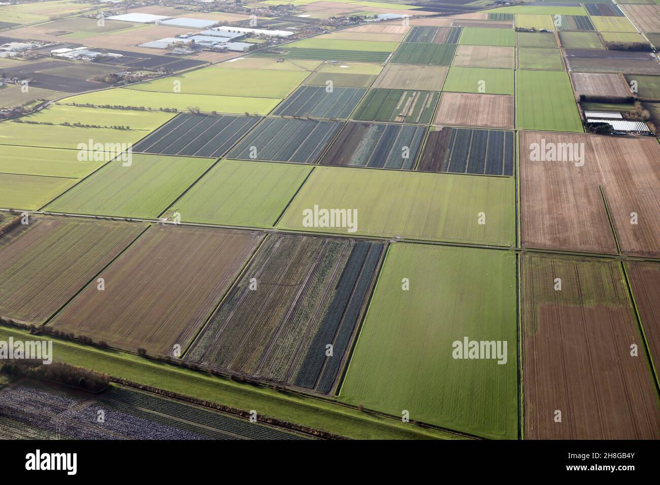 Luftaufnahme der Gartenbaufelder in der Hesketh Bank Area in Lancashire, westlich von Preston und nordöstlich von Blackpool, Lancashire Stockfoto