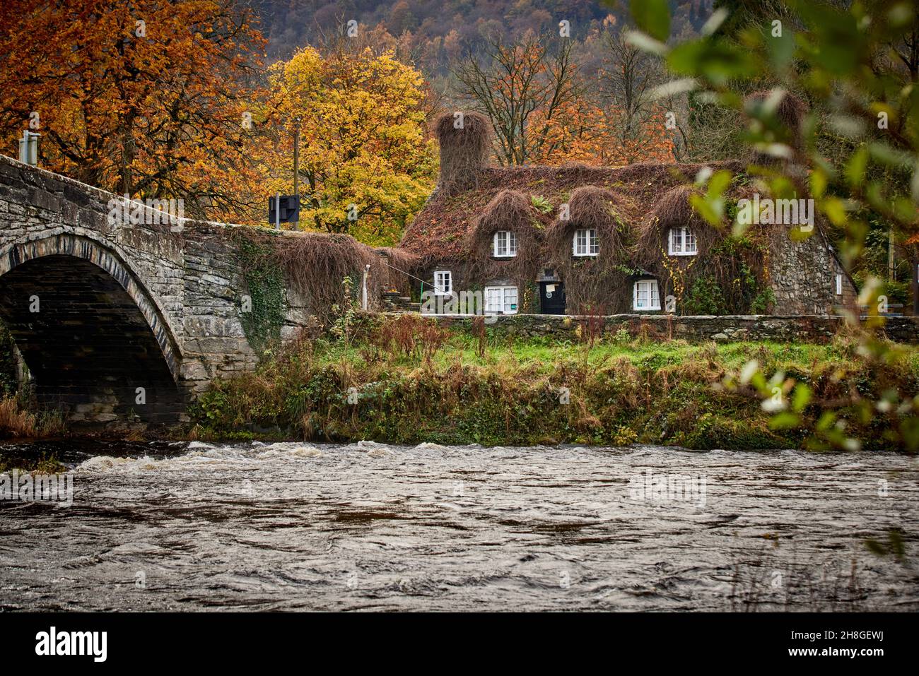 Efeu bedeckt Ferienhaus Haus Teestube bekannt als Ty Hwnt i'r Bont auf der Conwy River in der Nähe von Romanum in Snowdonia, Gwynedd, Nordwales Stockfoto