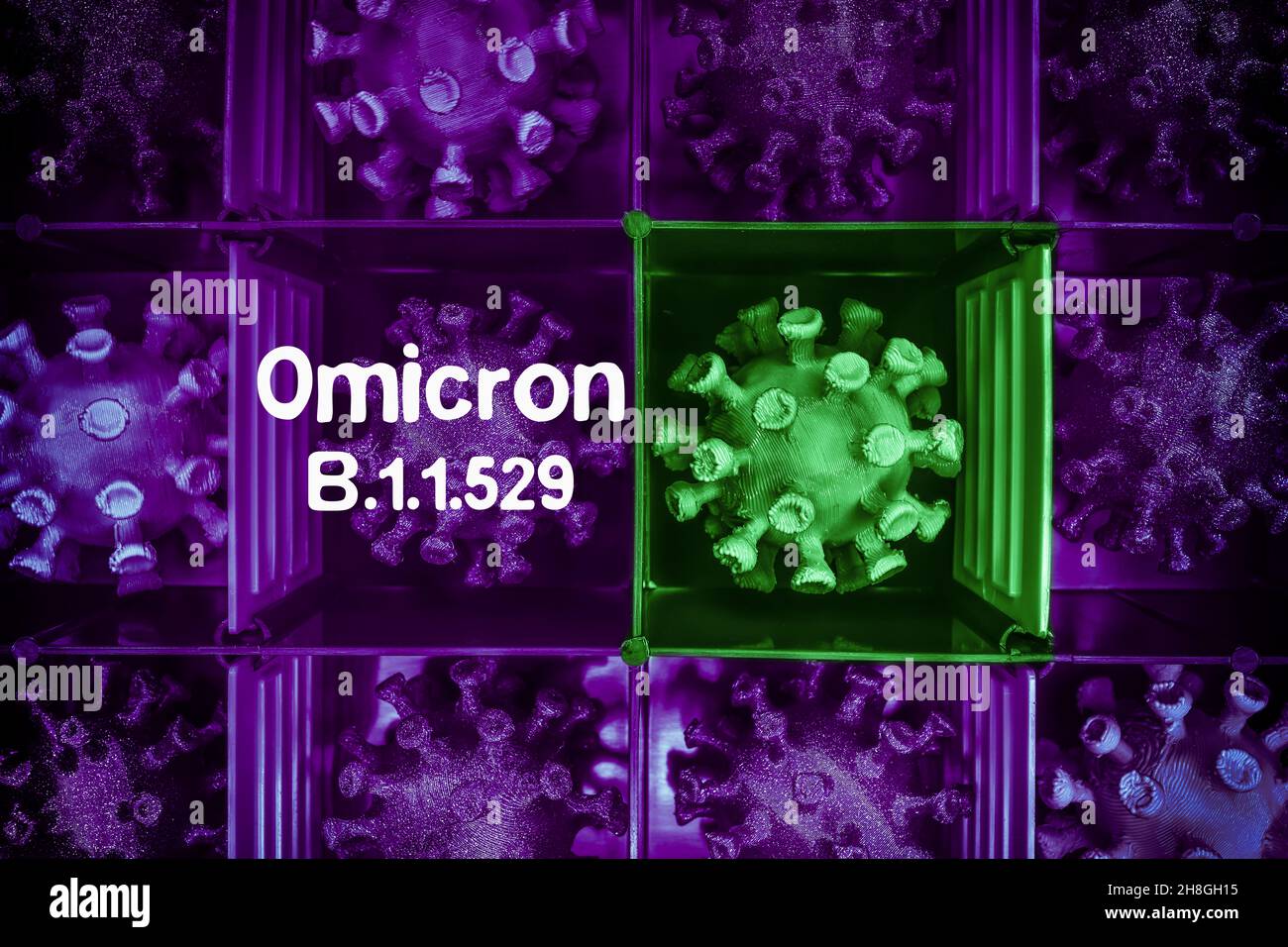 Corona-Viren in einer Schachtel, omicron-Covid-Mutation B.1.1.529 Stockfoto