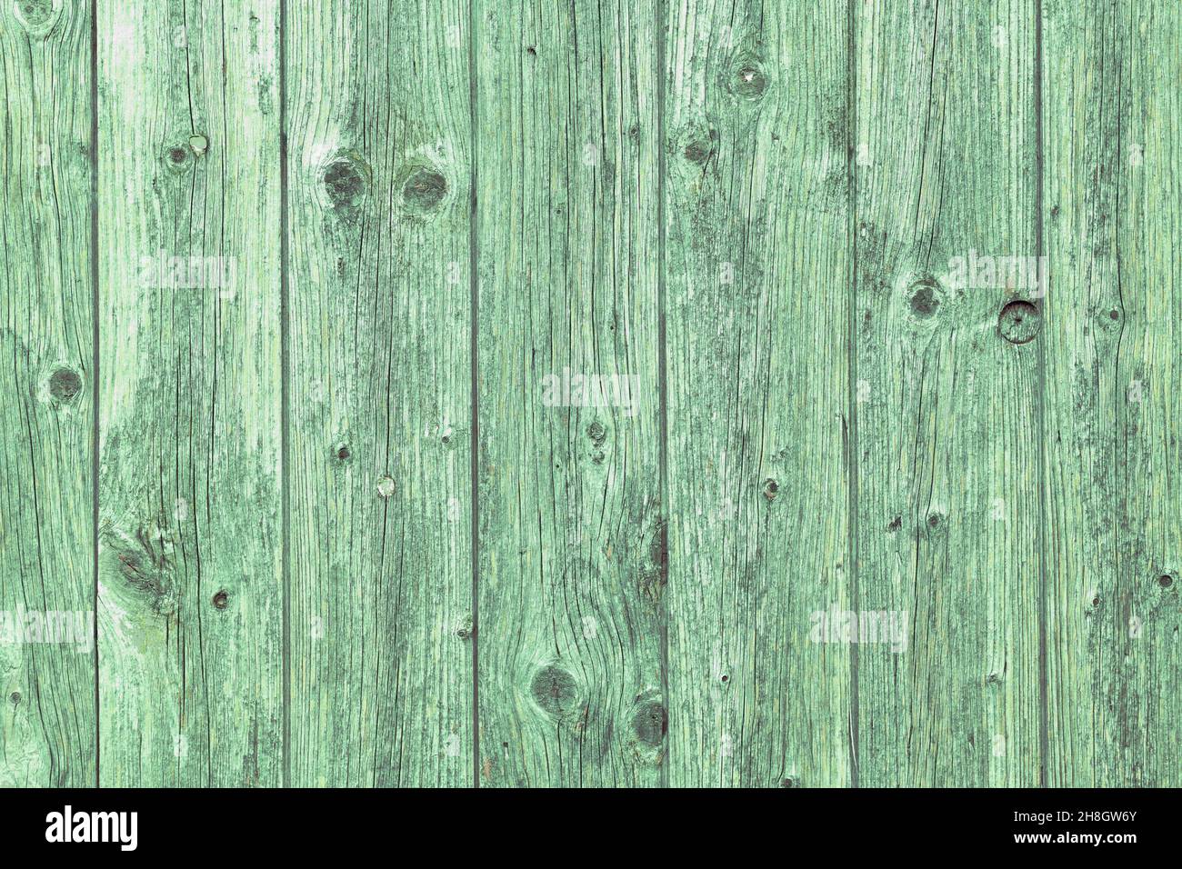 Holzhintergrund mit grünen Dielen Stockfoto