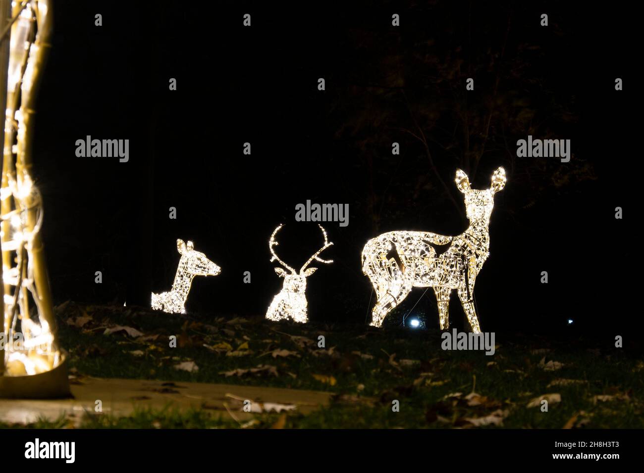 Glühende Hirsche und Rehe stehen während der weihnachtszeit in den Stadtmauern von Bremen Stockfoto