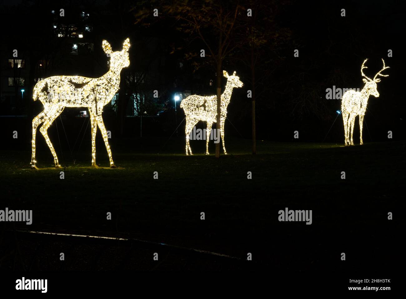 Glühende Hirsche und Rehe stehen während der weihnachtszeit in den Stadtmauern von Bremen Stockfoto