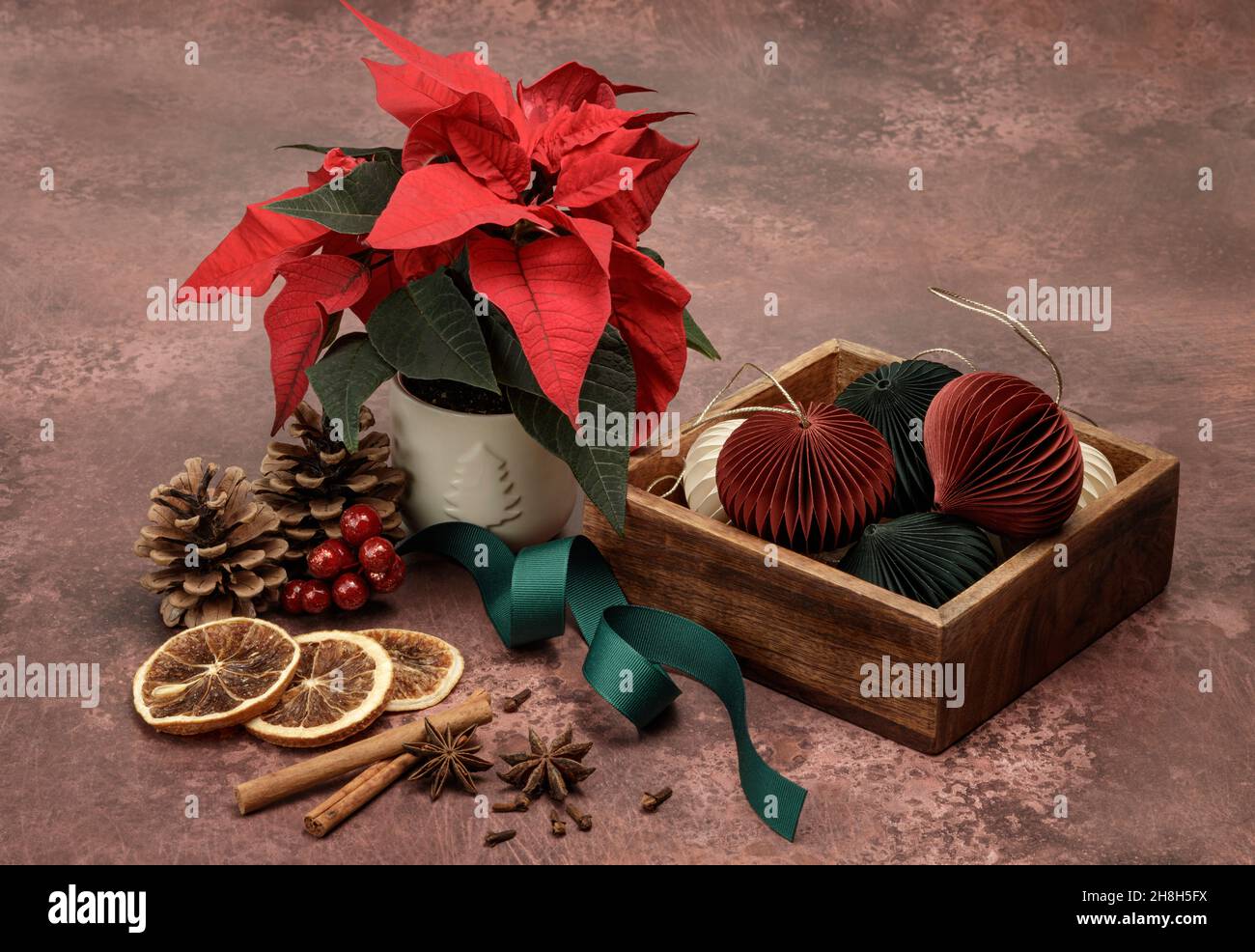 Weihnachtliches Stillleben mit einer roten Poinsettia Stockfoto