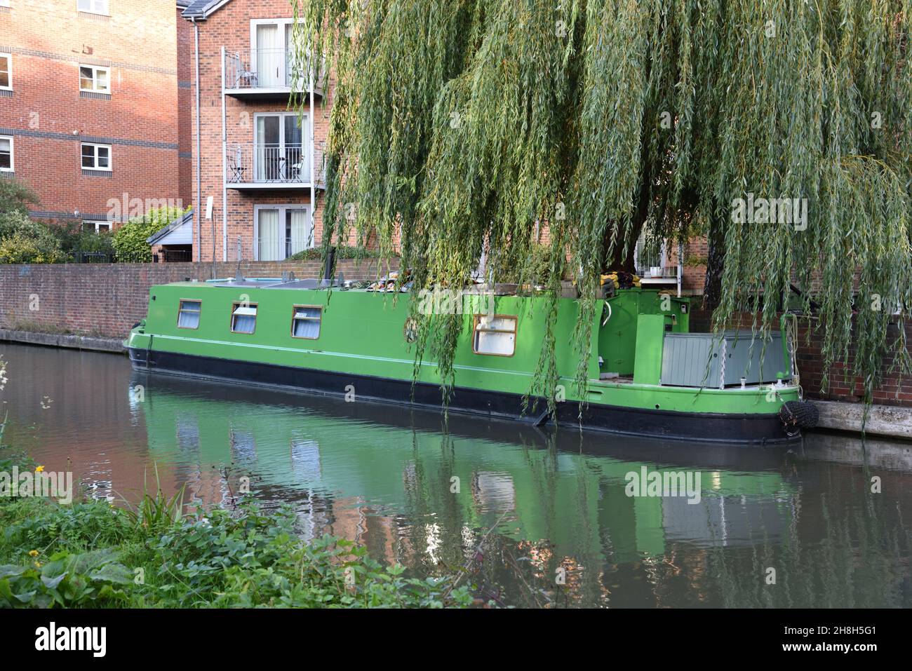Green Canal Boat, Hausboot, Narrowboat oder Long Boat & Weeping Willow auf dem Oxford Canal im Viertel von Rialo, Oxford England, Großbritannien Stockfoto